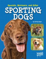 Spaniels__Retrievers__and_Other_Sporting_Dogs